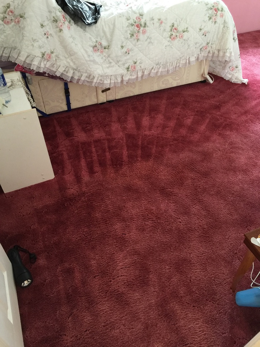 Cleaner: Image 8
